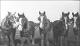 1925 Horse-Team.jpg.jpg